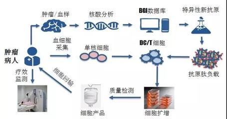 煜森資本 華大吉諾因攜「腫瘤新生抗原」誘導技術亮相AACR，開啟精準免疫治療新高度