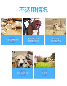 莫迪思 modus 自動超聲波止吠器 智能訓導專家的無聲助手